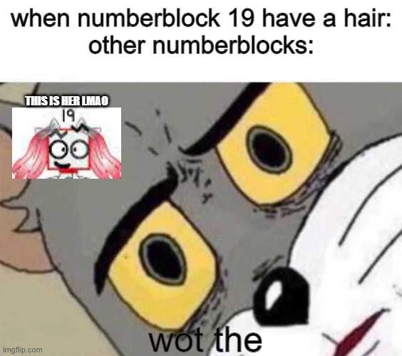 no need a title | when numberblock 19 have a hair:
other numberblocks:; THIS IS HER LMAO; wot the | image tagged in tom cat unsettled close up,hair,numberblocks | made w/ Imgflip meme maker