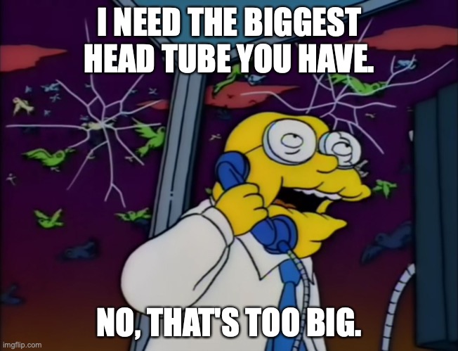 Hans Moleman Too Big | I NEED THE BIGGEST HEAD TUBE YOU HAVE. NO, THAT'S TOO BIG. | image tagged in hans moleman too big | made w/ Imgflip meme maker