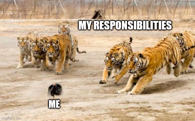 Template | MY RESPONSIBILITIES; ME | image tagged in running | made w/ Imgflip meme maker