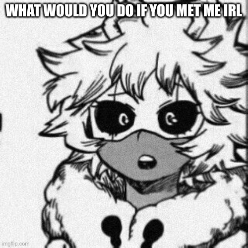 WHAT WOULD YOU DO IF YOU MET ME IRL | image tagged in the | made w/ Imgflip meme maker