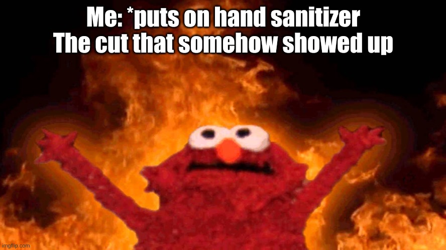 elmo fire | Me: *puts on hand sanitizer
The cut that somehow showed up | image tagged in elmo fire | made w/ Imgflip meme maker