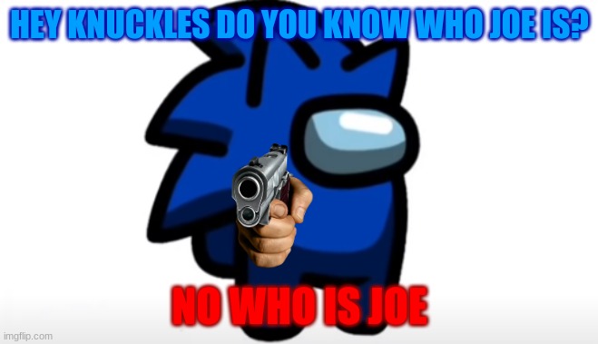 HEY KNUCKLES DO YOU KNOW WHO JOE IS? NO WHO IS JOE | image tagged in sonic,joe | made w/ Imgflip meme maker