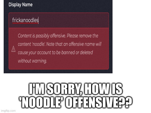 wat | I'M SORRY, HOW IS 'NOODLE' OFFENSIVE?? | image tagged in why | made w/ Imgflip meme maker