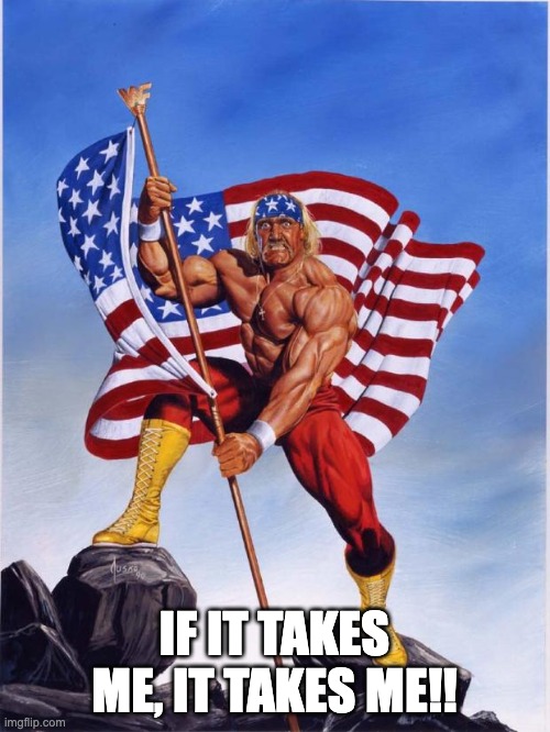 Hulk hogan merica  | IF IT TAKES ME, IT TAKES ME!! | image tagged in hulk hogan merica | made w/ Imgflip meme maker