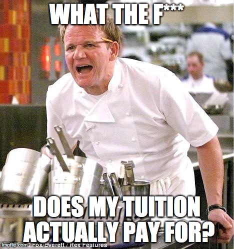 Chef Gordon Ramsay Meme | WHAT THE F*** DOES MY TUITION ACTUALLY PAY FOR? | image tagged in memes,chef gordon ramsay | made w/ Imgflip meme maker