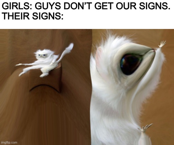 GIRLS: GUYS DON’T GET OUR SIGNS.
THEIR SIGNS: | image tagged in memes,persian cat room guardian | made w/ Imgflip meme maker