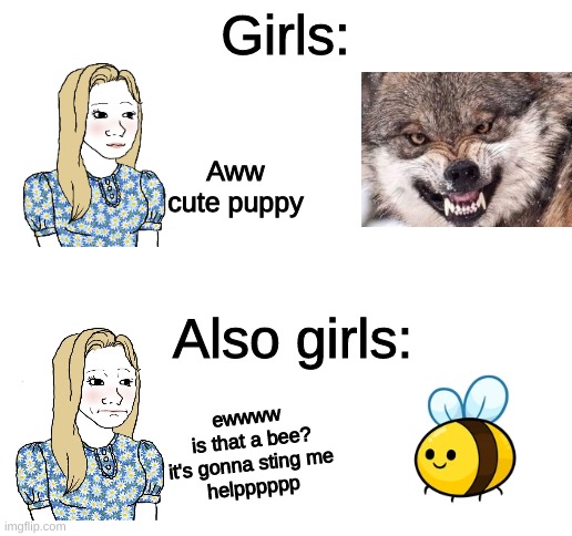 it could be a hell hound and they be askin if it wants a treat | Girls:; Aww cute puppy; Also girls:; ewwww
 is that a bee?
it's gonna sting me
helpppppp | image tagged in australia | made w/ Imgflip meme maker