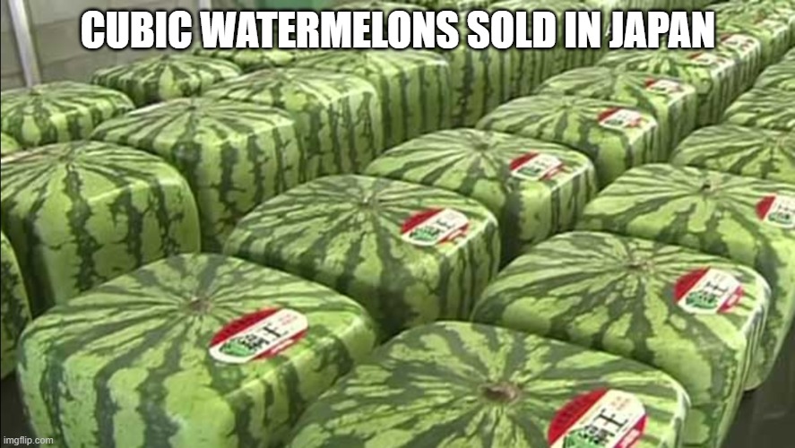 CUBIC WATERMELONS SOLD IN JAPAN | made w/ Imgflip meme maker