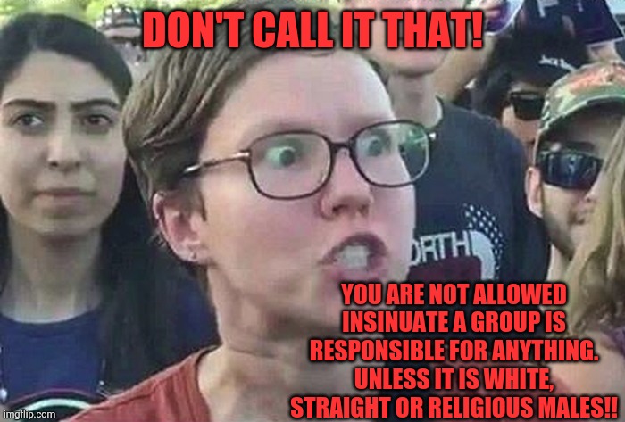 Triggered Liberal | DON'T CALL IT THAT! YOU ARE NOT ALLOWED INSINUATE A GROUP IS RESPONSIBLE FOR ANYTHING. UNLESS IT IS WHITE, STRAIGHT OR RELIGIOUS MALES!! | image tagged in triggered liberal | made w/ Imgflip meme maker