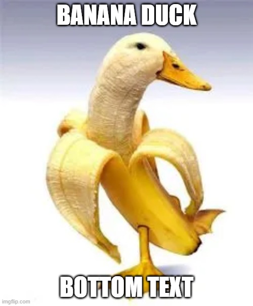 BANANA DUCK; BOTTOM TEXT | made w/ Imgflip meme maker