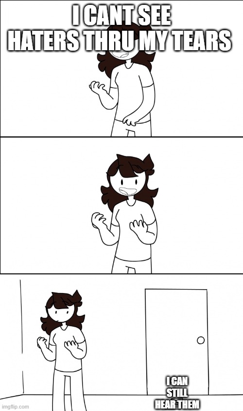 me irl | I CANT SEE HATERS THRU MY TEARS; I CAN STILL HEAR THEM | image tagged in jaiden realization | made w/ Imgflip meme maker