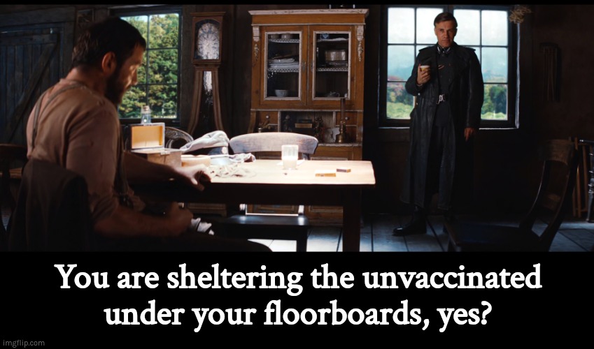 Sheltering the unvaccinated | You are sheltering the unvaccinated
under your floorboards, yes? | image tagged in inglourious basterds,covid-19,vaccine,vaccines,covid vaccine | made w/ Imgflip meme maker