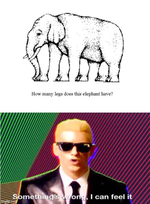 image tagged in something s wrong,optical illusion,elephant,legs | made w/ Imgflip meme maker