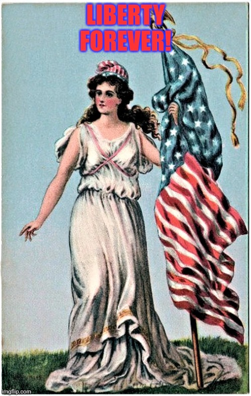 Lady Liberty Vintage | LIBERTY FOREVER! | image tagged in lady liberty vintage | made w/ Imgflip meme maker