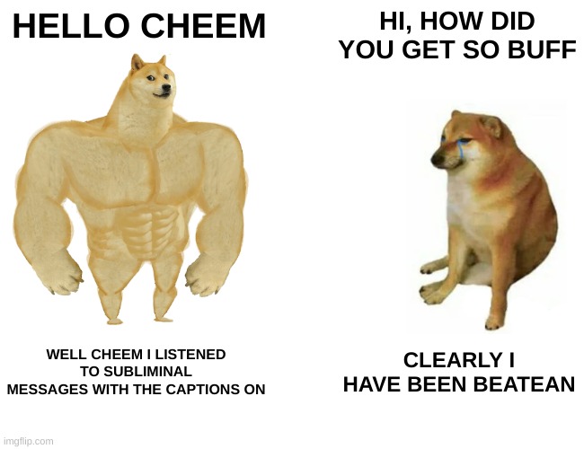Buff Dog Also Got A Big Brain | HELLO CHEEM; HI, HOW DID YOU GET SO BUFF; WELL CHEEM I LISTENED TO SUBLIMINAL MESSAGES WITH THE CAPTIONS ON; CLEARLY I HAVE BEEN BEATEAN | image tagged in memes,buff doge vs cheems | made w/ Imgflip meme maker