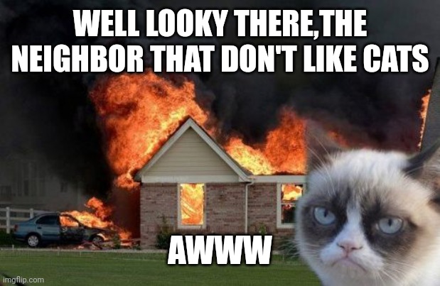 Burn Kitty | WELL LOOKY THERE,THE NEIGHBOR THAT DON'T LIKE CATS; AWWW | image tagged in memes,burn kitty,grumpy cat | made w/ Imgflip meme maker