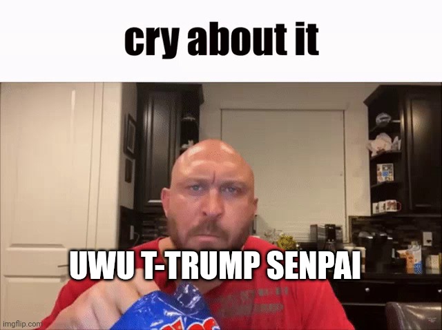 *trump inserts his schlong into your ass.* | UWU T-TRUMP SENPAI | image tagged in cry about it | made w/ Imgflip meme maker