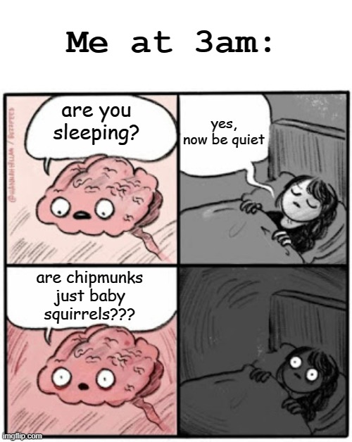 Got to love those random thoughts!!! | Me at 3am:; yes, now be quiet; are you sleeping? are chipmunks just baby squirrels??? | image tagged in brain before sleep | made w/ Imgflip meme maker