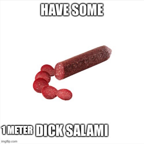 Have some D*ck salami | 1 METER | image tagged in have some d ck salami | made w/ Imgflip meme maker