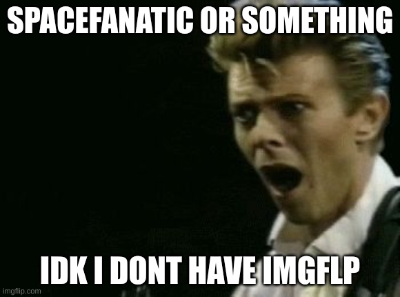 David Bowie | SPACEFANATIC OR SOMETHING; IDK I DONT HAVE IMGFLP | image tagged in offended david bowie | made w/ Imgflip meme maker
