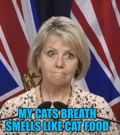 Frustrated Bonnie Henry |  MY CATS BREATH SMELLS LIKE CAT FOOD | image tagged in frustrated bonnie henry,vancouver,meanwhile in canada,covid | made w/ Imgflip meme maker