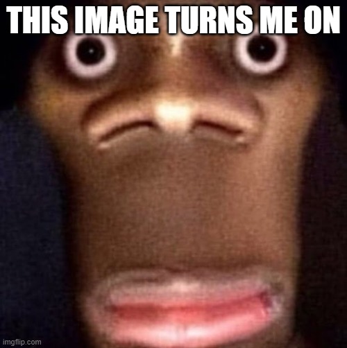 Bruh | THIS IMAGE TURNS ME ON | image tagged in bruh | made w/ Imgflip meme maker