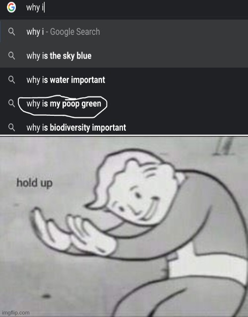 Fallout Hold Up | image tagged in fallout hold up | made w/ Imgflip meme maker