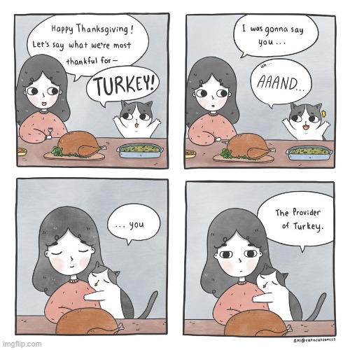 image tagged in wholesome,comics,cat,turkey | made w/ Imgflip meme maker