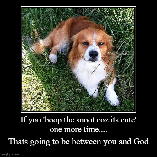 Boop | image tagged in funny,demotivationals | made w/ Imgflip demotivational maker