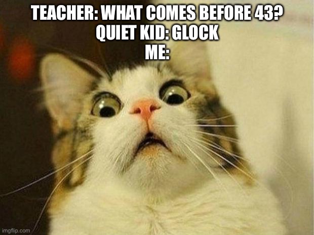 Glock 43 | TEACHER: WHAT COMES BEFORE 43?
QUIET KID: GLOCK
ME: | image tagged in memes,scared cat | made w/ Imgflip meme maker