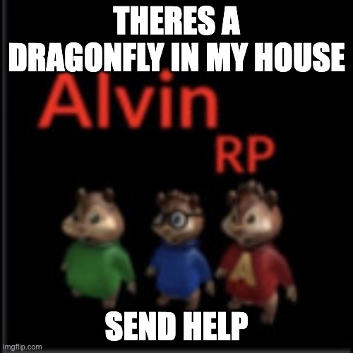 THERES A DRAGONFLY IN MY HOUSE; SEND HELP | made w/ Imgflip meme maker