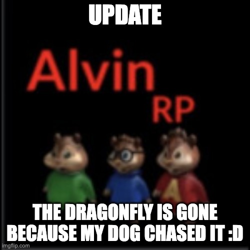 alvin the chipmunk rp | UPDATE; THE DRAGONFLY IS GONE BECAUSE MY DOG CHASED IT :D | image tagged in alvin the chipmunk rp | made w/ Imgflip meme maker