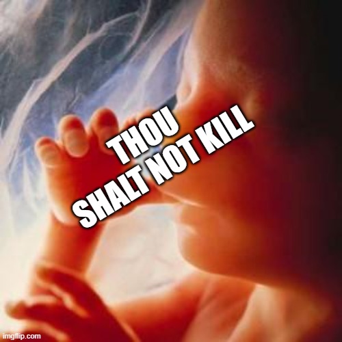 Fetus |  THOU SHALT NOT KILL | image tagged in fetus | made w/ Imgflip meme maker