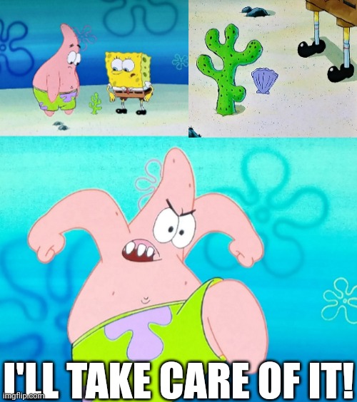 Destroy the scallop! | I'LL TAKE CARE OF IT! | image tagged in patrick will take care of it | made w/ Imgflip meme maker