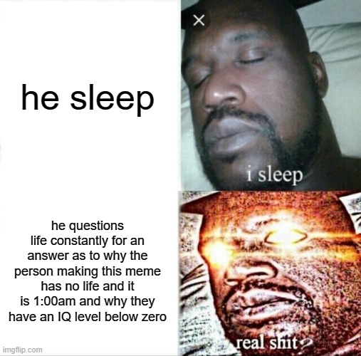 meanwhile | he sleep; he questions life constantly for an answer as to why the person making this meme has no life and it is 1:00am and why they have an IQ level below zero | image tagged in memes,sleeping shaq | made w/ Imgflip meme maker