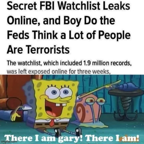 LIBTAORBBB!!!!! STOP CRITICIZING THE FBII FOR THINKING UR TERRISM!!!!! | image tagged in stop reading these bags,synthetic_mantis,israel,fbi | made w/ Imgflip meme maker