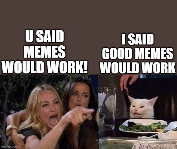 War Of Woman And Cat While Its 2021 | U SAID MEMES WOULD WORK! I SAID GOOD MEMES WOULD WORK | image tagged in woman yelling at cat | made w/ Imgflip meme maker