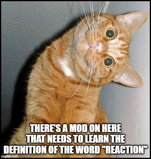 Educate Yourself | THERE'S A MOD ON HERE THAT NEEDS TO LEARN THE DEFINITION OF THE WORD "REACTION" | image tagged in stupid cat | made w/ Imgflip meme maker