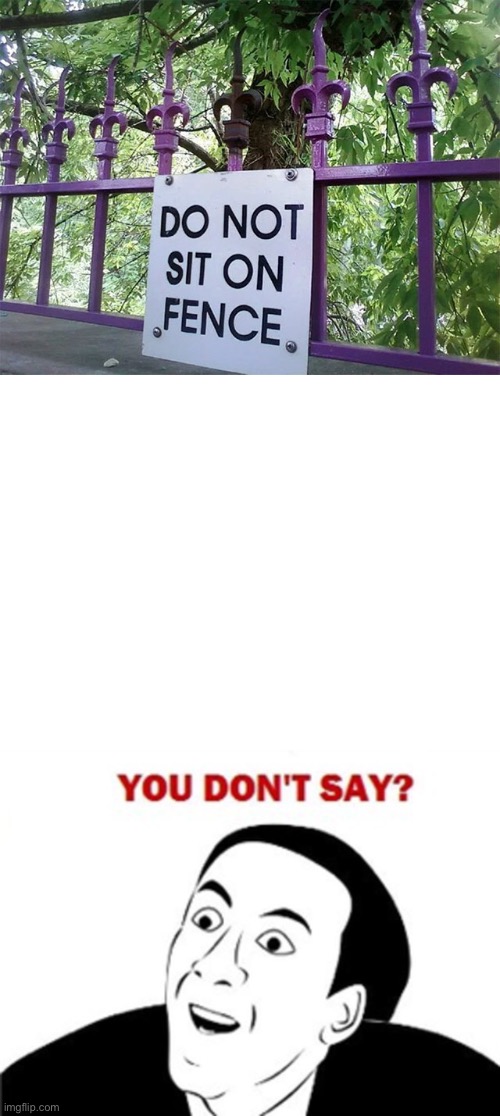 You don’t say | image tagged in blank white template | made w/ Imgflip meme maker