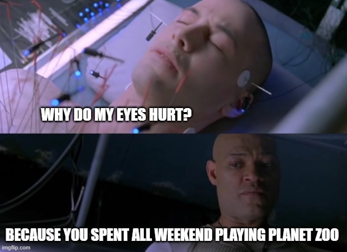 Matrix eyes planet zoo | WHY DO MY EYES HURT? BECAUSE YOU SPENT ALL WEEKEND PLAYING PLANET ZOO | image tagged in matrix eyes hurt | made w/ Imgflip meme maker