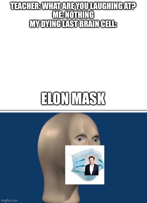 LOL | TEACHER: WHAT ARE YOU LAUGHING AT?
ME: NOTHING
MY DYING LAST BRAIN CELL:; ELON MASK | image tagged in blank white template | made w/ Imgflip meme maker