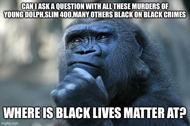 A question? | CAN I ASK A QUESTION WITH ALL THESE MURDERS OF YOUNG DOLPH,SLIM 400,MANY OTHERS BLACK ON BLACK CRIMES; WHERE IS BLACK LIVES MATTER AT? | image tagged in deep thoughts | made w/ Imgflip meme maker