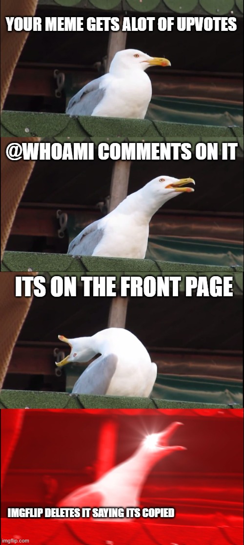 happend:( | YOUR MEME GETS ALOT OF UPVOTES; @WHOAMI COMMENTS ON IT; ITS ON THE FRONT PAGE; IMGFLIP DELETES IT SAYING ITS COPIED | image tagged in memes,inhaling seagull | made w/ Imgflip meme maker