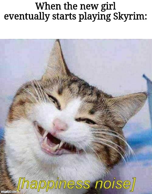 Happiness Noise Cat | When the new girl eventually starts playing Skyrim: | image tagged in happiness noise cat | made w/ Imgflip meme maker