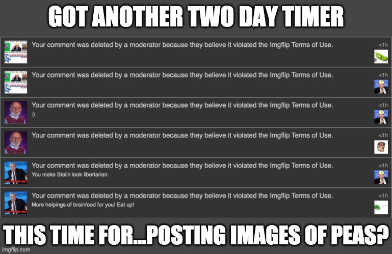 At this point you-know-who calling himself a libertarian is disinformation lol | GOT ANOTHER TWO DAY TIMER; THIS TIME FOR...POSTING IMAGES OF PEAS? | made w/ Imgflip meme maker