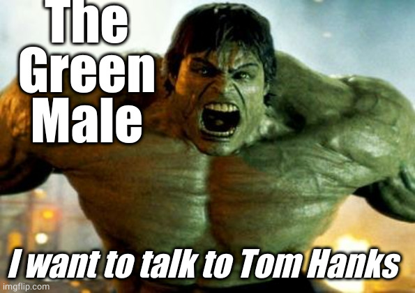 ONE LETTER OFF MOVIES |  The
Green
Male; I want to talk to Tom Hanks | image tagged in hulk,tom hanks | made w/ Imgflip meme maker