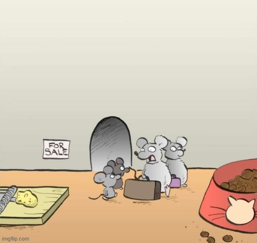 we're going to a safer house | image tagged in comics | made w/ Imgflip meme maker