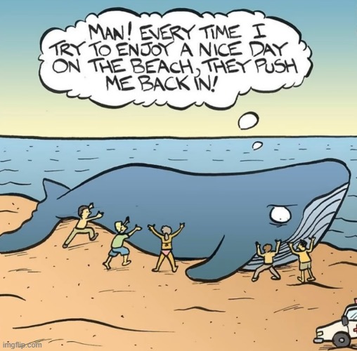 image tagged in comics | made w/ Imgflip meme maker