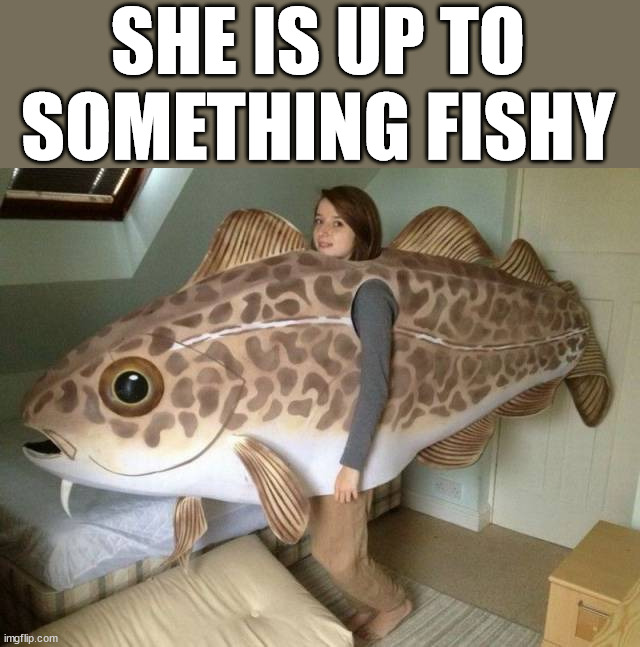 SHE IS UP TO SOMETHING FISHY | image tagged in eye roll | made w/ Imgflip meme maker