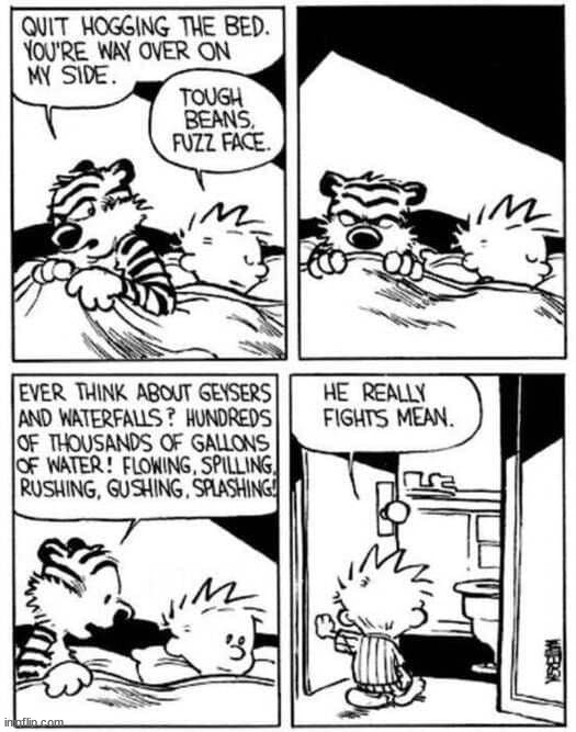 Calvin and Hobbes | image tagged in calvin and hobbes,comics/cartoons | made w/ Imgflip meme maker